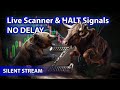 Live scanner  stock market scanner  silent stream voice only  05242024