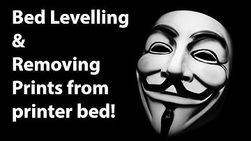 Wanhao 3Dprinter Bed Levelling & Removing Prints from Bed