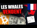 Ces whales du bitcoin sont en train de dumper grosse semaine en approche