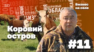 Коровий остров Фоата Комарова | Бизнес на селе #11