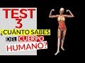 HUESOS DEL CUERPO HUMANO en español - Vídeos educativos ...