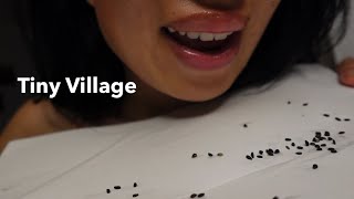 Pov Tiny: What I Do With This Speck-Sized Village | PART 1