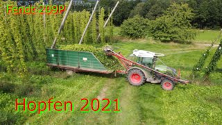 !!Hopfen Ernte!!||209P|Fendt|2021|FrankeAmFilmen||