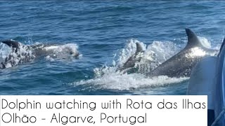 Dolphin Watching Tour in Olhao, Algarve Portugal with Rota das Ilhas