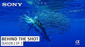 Paul Nicklen's Memorable Moment in the Tasman Sea | Behind the Shot S2 Ep. 3