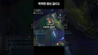똑똑한 청년 갈리오