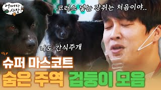 [#어쩌다사장] 씬스틸러 🖤사랑둥이 검둥이🖤 차태현 노래에 코러스 넣어주는 천재 만재 갱얼쥐 ㅋㅋㅋ