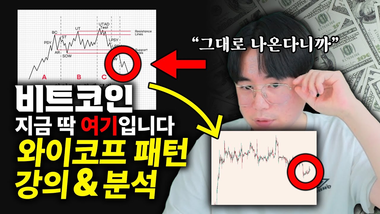 ‘이 패턴’ 아세요? 지금 나오는데? 와이코프패턴, 분배구간 분석&강의
