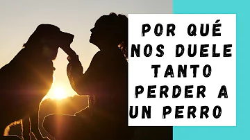 ¿Por qué duele tanto perder un perro?