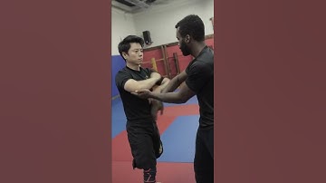 Wing Chun Trapping Demo