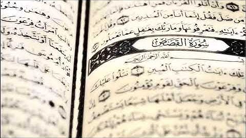 سورة القصص برواية قالون عن نافع - القارئ الشيخ مصطفى الجكني