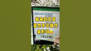 用Excel制作条形码#办公技巧 #每天学习一点点 #职场 #干货分享 #excel