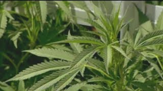 Marijuana sales begin in NJ