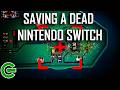YOU’RE DIAGNOSING YOUR DEAD NINTENDO SWITCH WRONG.