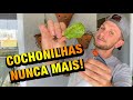 RECEITINHA que vai ACABAR com as COCHONILHAS nas suas PLANTAS | Henrique Buttler