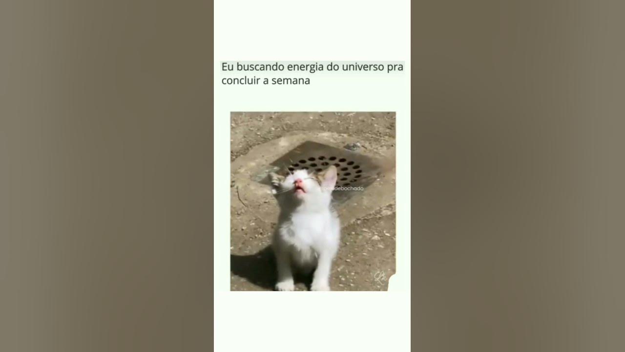 9GAG: Memes, risos e tudo o que há de bom