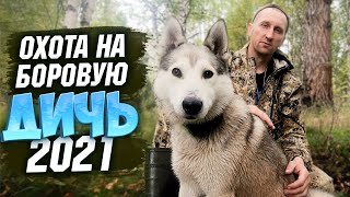 Открытие Охоты 2021.Перепутал Патрон.жизнь В Тайге.глухариный Оливье.