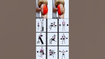 Grow Your Biceps FAST – Long Head vs Short Head Workout Guide