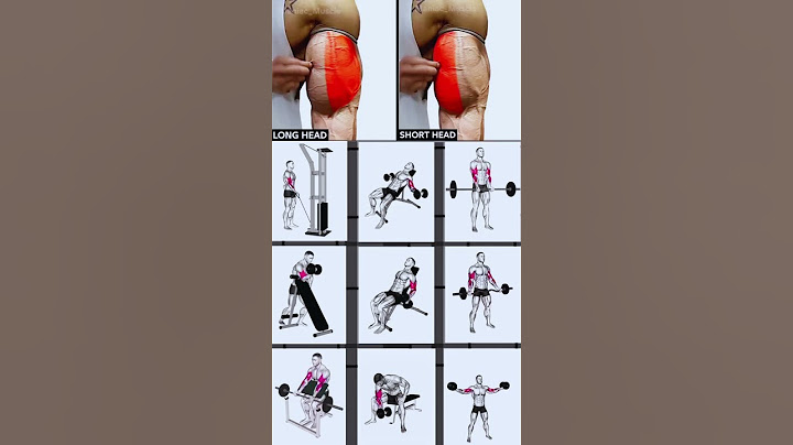 Grow Your Biceps FAST – Long Head vs Short Head Workout Guide