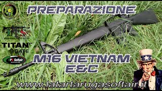 E&C Vietnam M16 Build - By LTS La Tartaruga Softair screenshot 4