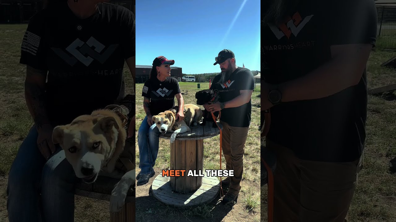 Virginia And Texas K9