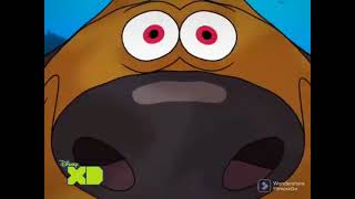 Zig Y Sharko - Disney Xd Intro Recreación