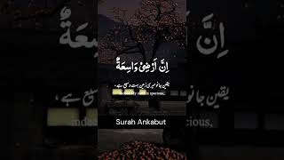 Surah Ankabut - Urdu Translation Shorts Video | Al Quran