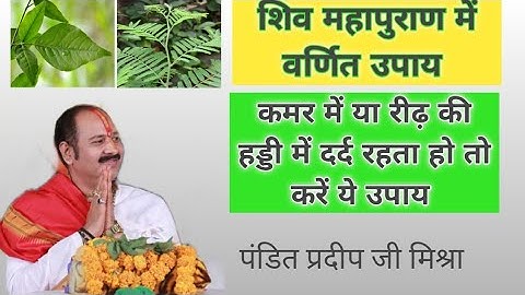 कमर या रीढ़ की हड्डी में दर्द रहता हो तो करें शिव महापुराण में वर्णित इस उपाय को #panditpradeepmishra