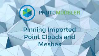 Overlaying and Pinning 3D Point Cloud Laser Scans and Meshes on Photos