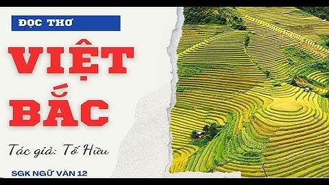 Bài thơ việt bắc được in trong tập nào