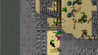 nice mTibia pk