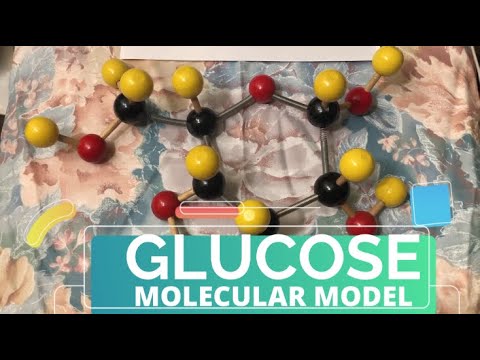 HOW TO BUILD A GLUCOSE MODEL?  | STEP BY STEP GUIDE IN BUILDING GLUCOSE MOLECULAR MODEL