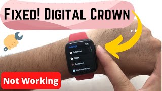 4 Fix Apple Watch Digital Crown Not Working/Scrolling: Round Button Unresponsive [101%] screenshot 4