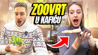 ZMIJA JE HTELA DA ME UDAVI! *VLOGMAS 21/31*