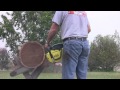 Pioneer p60 chainsaw