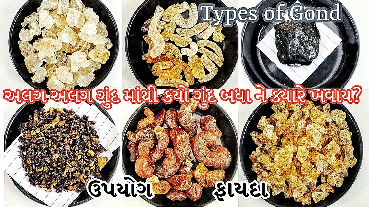કેટલા પ્રકાર ના ગુંદ હોય? તેનો ઉપયોગ કેમ થાય? ફાયદા શું છે? | Types of Gond, Uses and Benefits