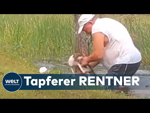 Video: Video Eines Jungen Mannes, Der Einen Welpen Wirft, Um Von Einem Krokodil Gefressen Zu Werden