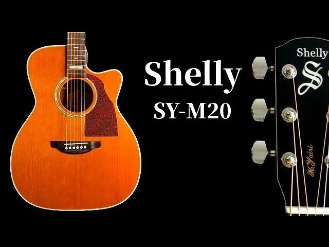 Shelly SS-MI  1999年　最高級ホンジュラスマホガニー