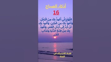 القرآن الكريم بصوت جميل وهادئ .