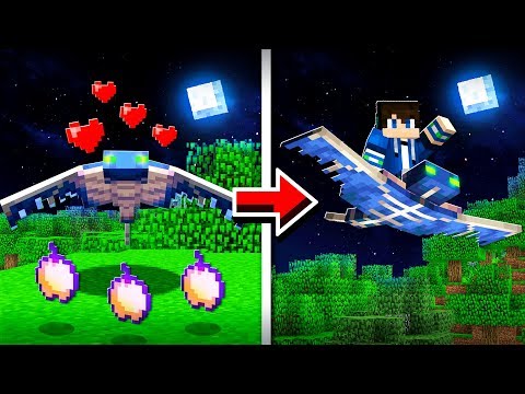 How to TAME AND RIDE PHANTOMS in Minecraft! (Pocket Edition, Xbox, PC)