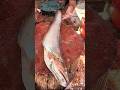 Wow!! Rural Beautiful Village Big River Fish Cutting Skills 😳 #shorts
