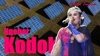 Ngobor Kodok Versi Sandiwara Bina Remaja Indah [ Eriko Triana ]