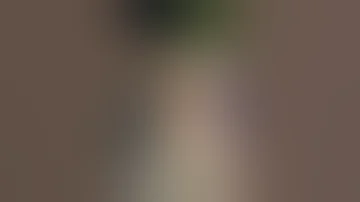 مبروك عليكي ناصيف زيتون لإلي لإلي 