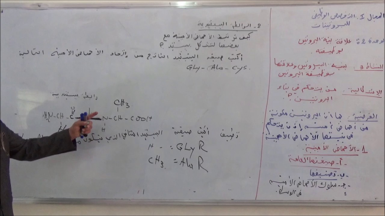 المجال 1 الوحدة 2  الغلاقة بين بنية البروتين و وظيفته  الجزء الثاني