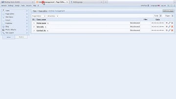 Adding a page via page editor