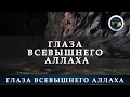 Глаза Всевышнего Аллаха