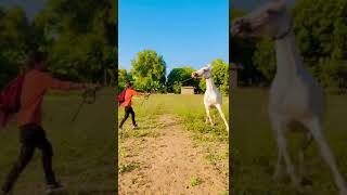 Jatin Tatamiya 8469634335