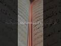 القران الكريم ما تيسر من سورة الأحزاب أية رقم ٤١