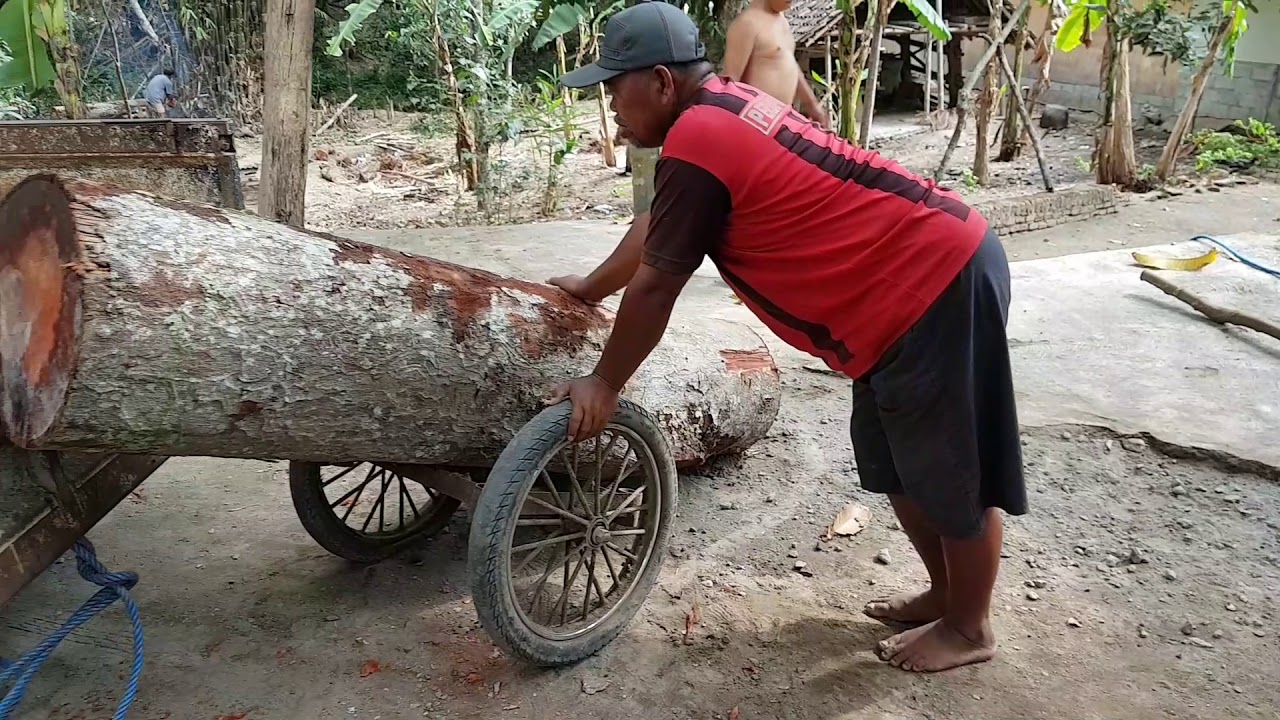  tipsberlian caramudah MENAIKKAN KAYU BESAR KE  ATAS  BAK 