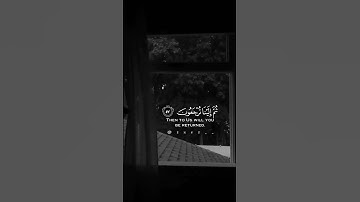 القرآن الكريم سورة العنكبوت الاية (57) كل نفس ذائقة الموت